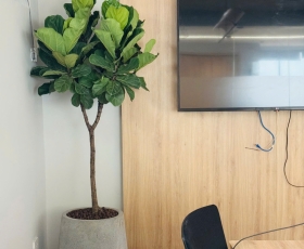 Chậu Tròn Lớn Hình Giọt Nước 44x100cm