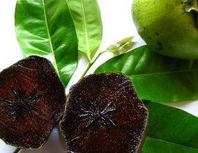 Đôi Nét Về Hồng Socola Dành Cho Các Bạn Chuẩn Bị Trồng