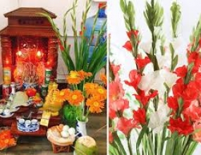 Top 6 Các Loại Hoa Cúng Ngày Vía Thần Tài