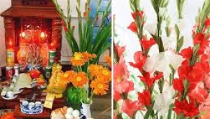 Top 6 Các Loại Hoa Cúng Ngày Vía Thần Tài
