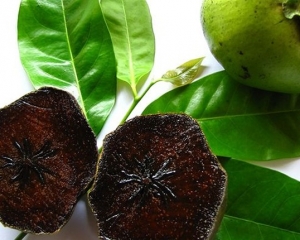 Đôi Nét Về Hồng Socola Dành Cho Các Bạn Chuẩn Bị Trồng