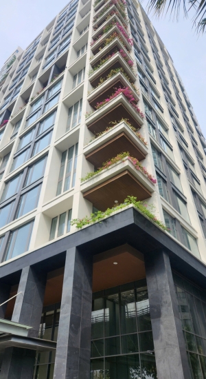 THE BERKLEY THẢO ĐIỀN