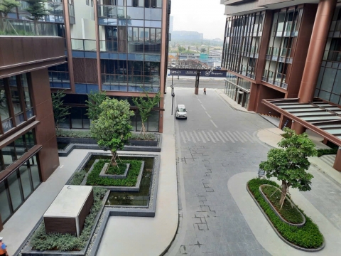 Chăm Sóc Bảo Dưỡng Cảnh Quan The Galleria Residence