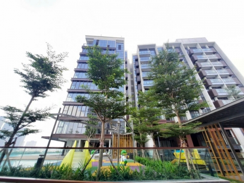Chăm Sóc Bảo Dưỡng Cảnh Quan The Galleria Residence